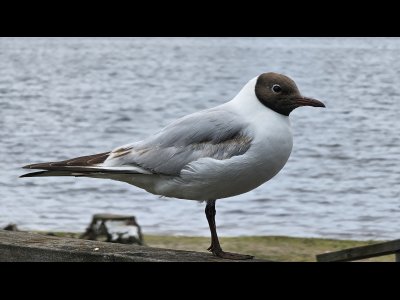 20250702_202720 - Kopie.jpg